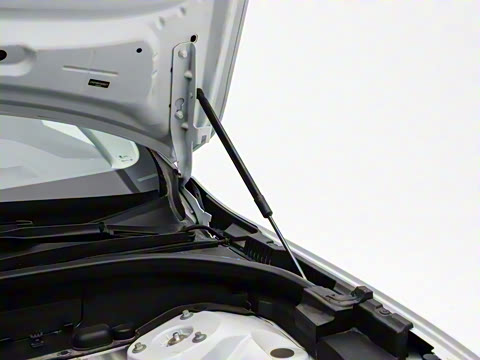 2026�� ���ʽ�춯 �������������ź�����