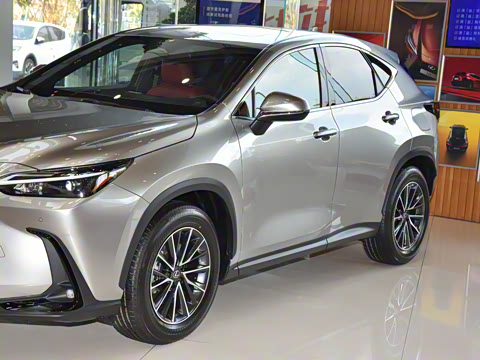 2025�� 400h+ PRIME