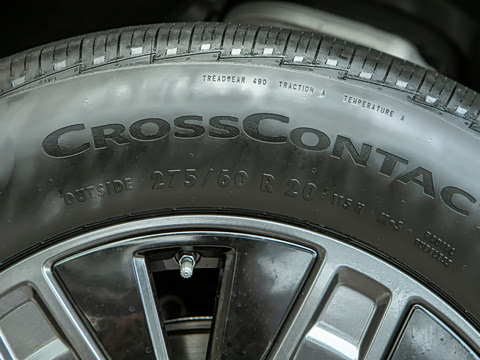 2026�� Max+