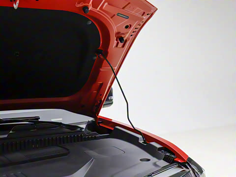 2025�� 501���������