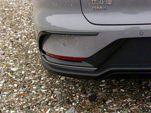 2025�� DM-i �Ǽݰ� 245KM�����