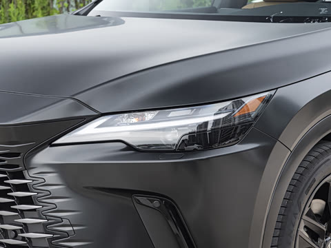 2026�� 300 ����Black Edition