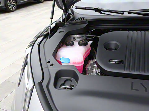 2026�� 126������ Max