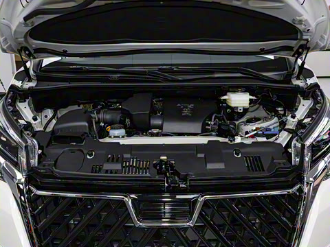 2025�� 9����ʨ ������