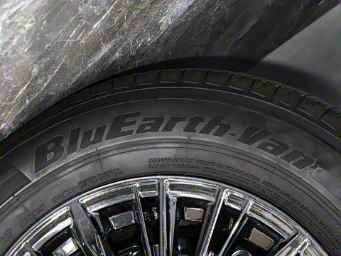 2025�� 9����ʨ ������