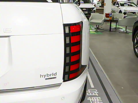 2026�� 2.5T Calligraphy ���ͼ� 6��