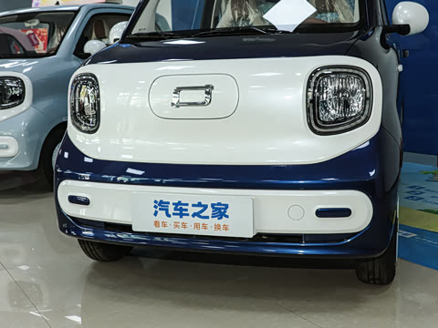 2026�� 222km ������