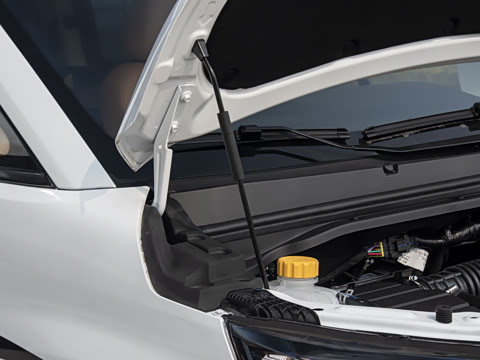 2026�� 2.0L �ֶ���Ӫ�� 5��