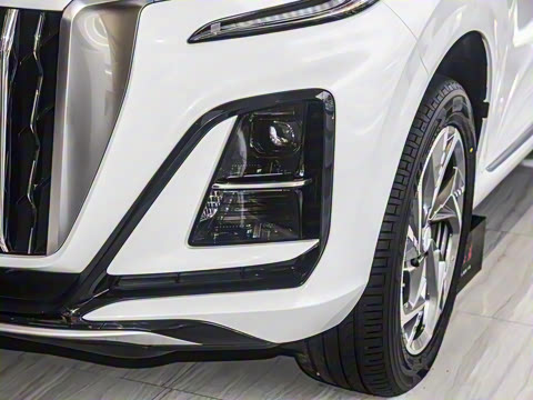 2024�� 115km ��Ϊ��