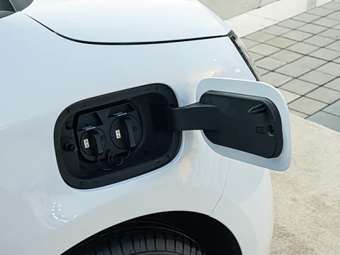 2026�� �����