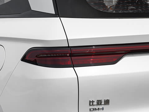 2026�� �ɳ۰� DM-i 220KM��Խ��