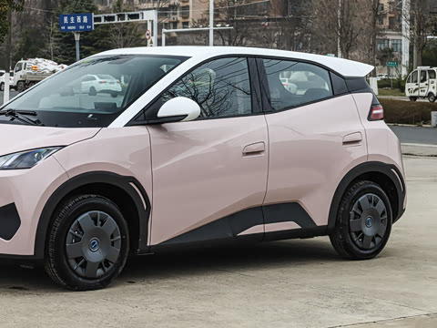 2025�� �Ǽݰ� 305km ������