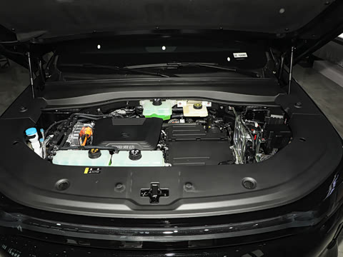 2025�� 205km Pro+��