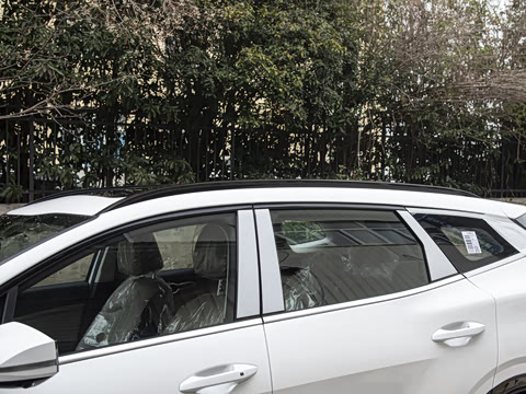 2026�� ����������