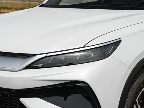 2026�� �ɳ۰� DM-i 220KM������