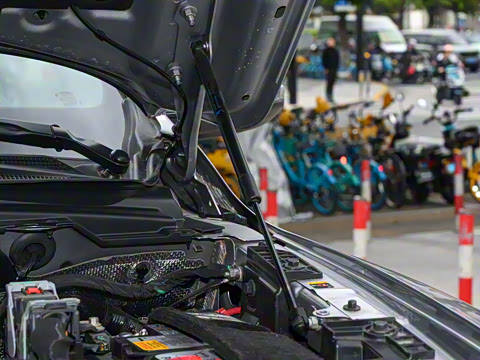 2026�� RHO�����ܰ�