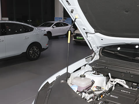 2026�� DM-i 220KM׿Խ��