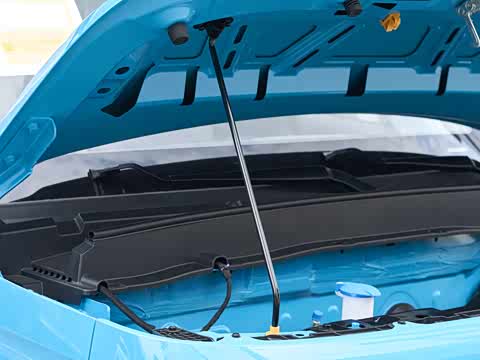 2025�� ������