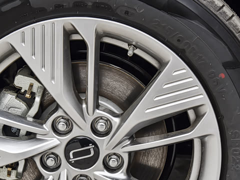 2025�� 445km ���ð�