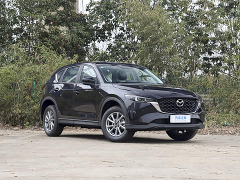 2025�� 2.0L �Զ�����������