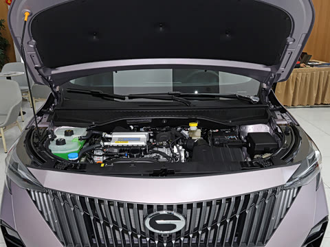 2026�� Ӱ�� 270T ������