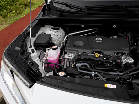 2026�� 2.5L ���ܵ��˫�� ����MAX