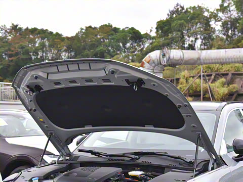 2026�� ������������Plus