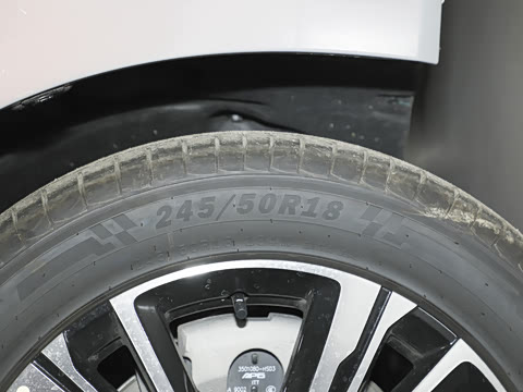 2025�� 600 ��ѡ��