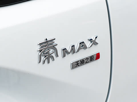 2026�� DM-i 320KM��Խ��