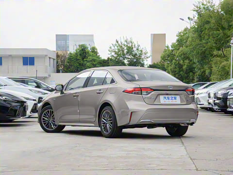 2024�� ���ܵ��˫�� 2.0L ������