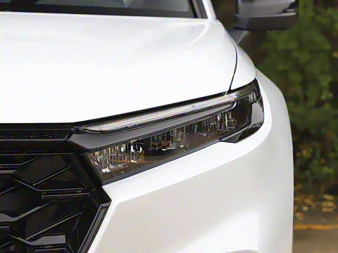 2026�� ȫ��30����ҫ�� 2.0L e:HEV �������