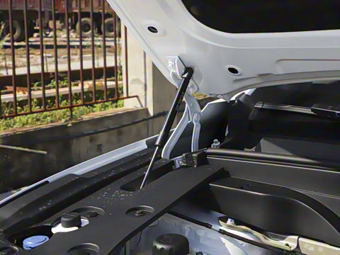 2026�� �������̳�����