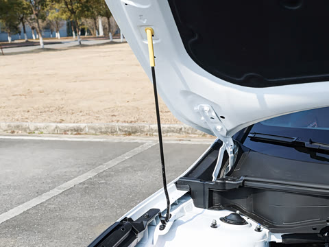 2026�� ���������