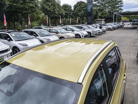 2025�� Plus 510 ������