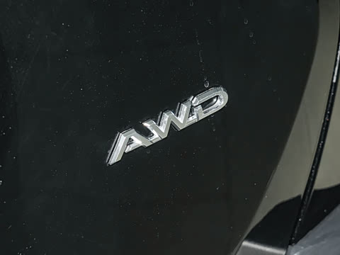 2026�� 2.0L ����������