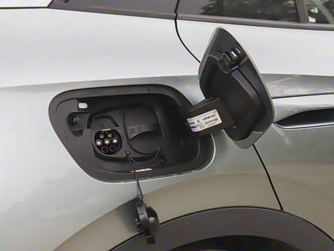 2026��  PURE+��