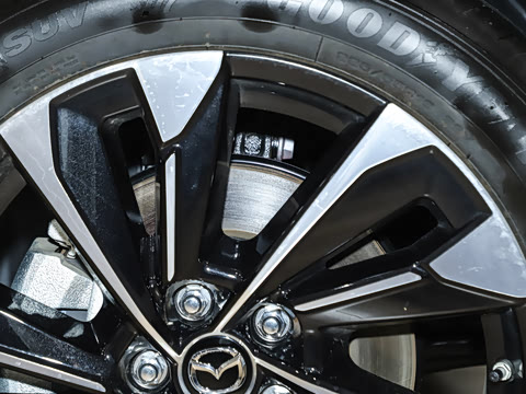 2026�� 2.5L ���а�