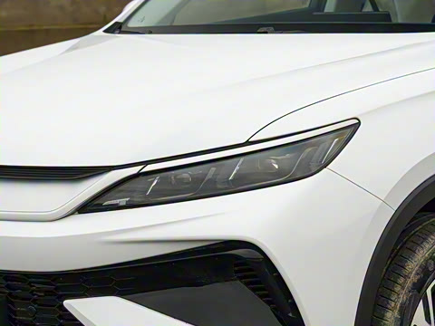 2026�� DM-i 133KM��Խ��