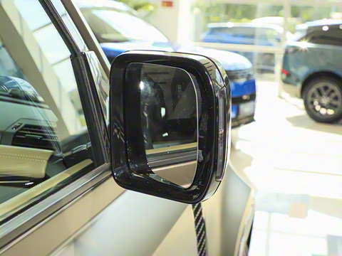 2025�� 110 3.0T P400 X