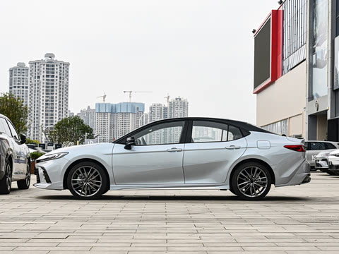 2026�� ˫�� 2.5HXS �˶�Plus��