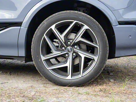 2026�� ����������