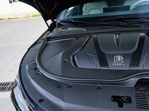 2025�� �Ǽݰ� DM-i 175KM �����