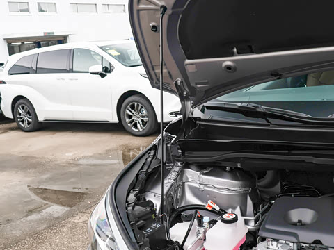 2026�� 2.5L ˫��������������