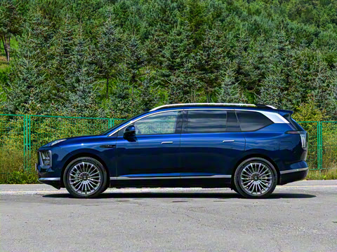 2025�� �Ŀ� 350 Max���������״��