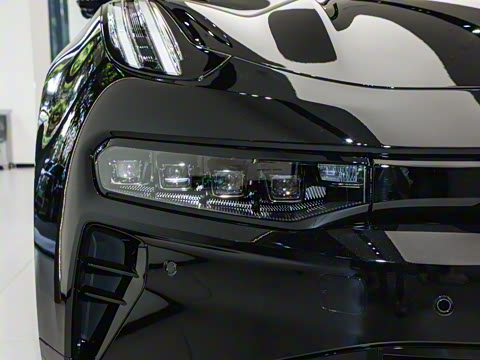 2026��   95������ Max��