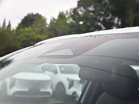 2026�� ���Ĵ� ������ 1.5T ���������