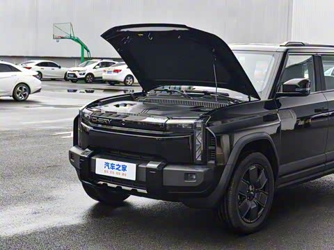 2025�� 520���������