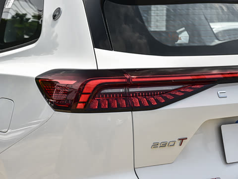 2025�� 290T ��������+