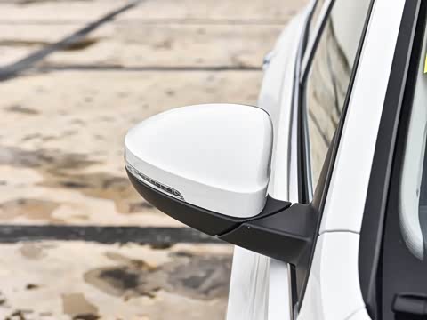 2026�� 3000������ѡ�� 300TSI DSG ��Խ��