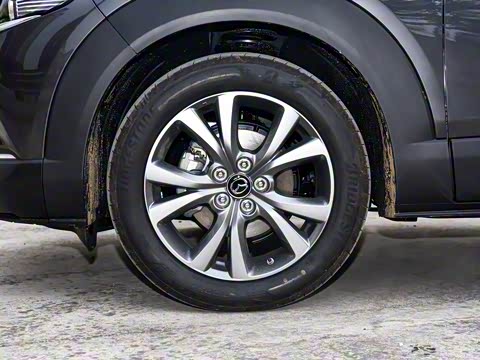 2025�� 2.0L �Զ�������